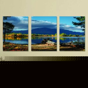 Set of 3 nature wall art phototile frame