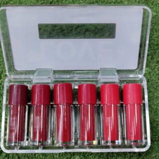 Pack of 6 High Pigment Lipgloss,